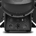 CLF1T_5.webp