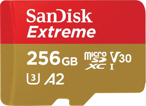 Carte SD 256 Go